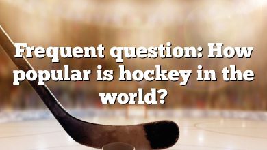Frequent question: How popular is hockey in the world?