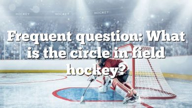 Frequent question: What is the circle in field hockey?