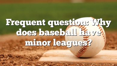 Frequent question: Why does baseball have minor leagues?