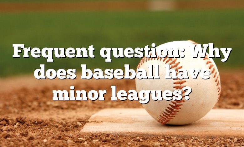 Frequent question: Why does baseball have minor leagues?
