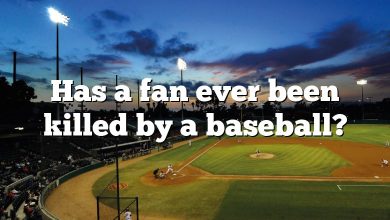 Has a fan ever been killed by a baseball?