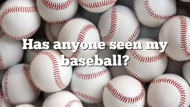 Has anyone seen my baseball?