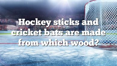 Hockey sticks and cricket bats are made from which wood?