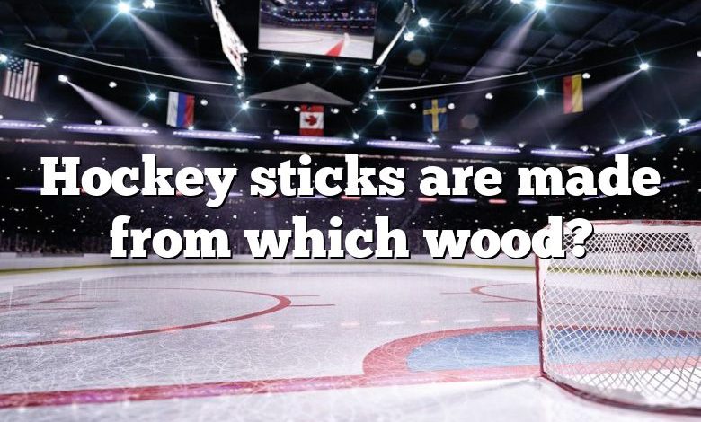 Hockey sticks are made from which wood?