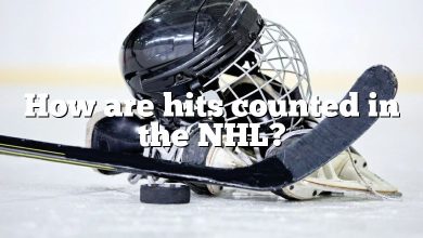 How are hits counted in the NHL?