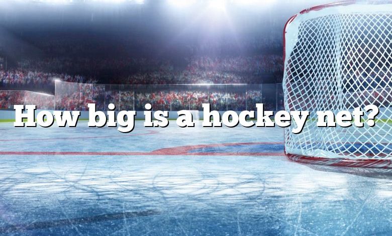 How big is a hockey net?