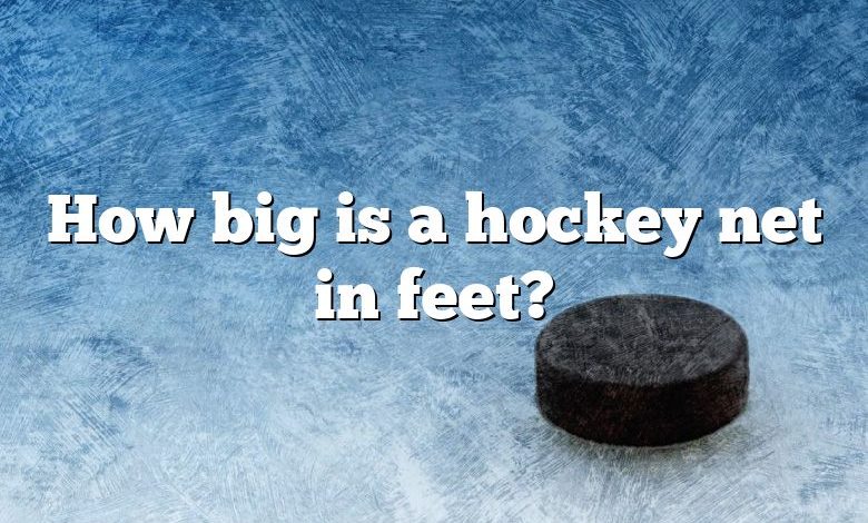 How big is a hockey net in feet?