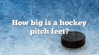 How big is a hockey pitch feet?