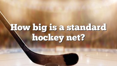 How big is a standard hockey net?