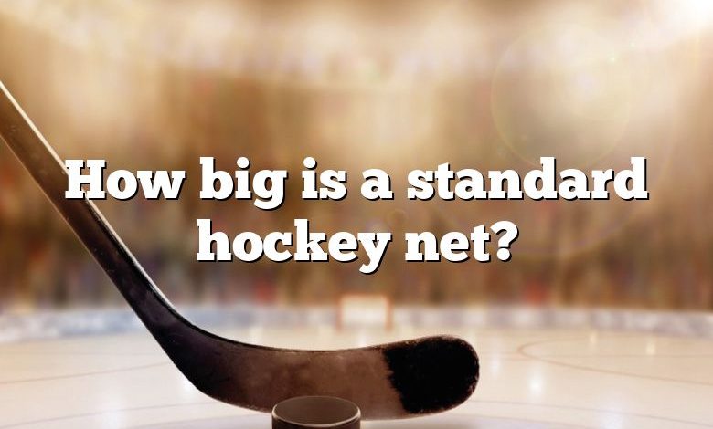 How big is a standard hockey net?