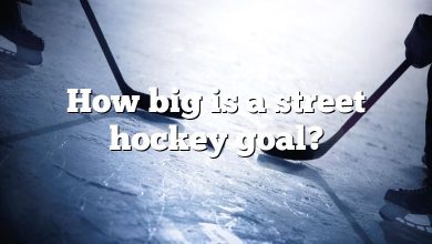 How big is a street hockey goal?