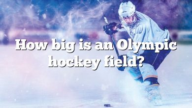 How big is an Olympic hockey field?