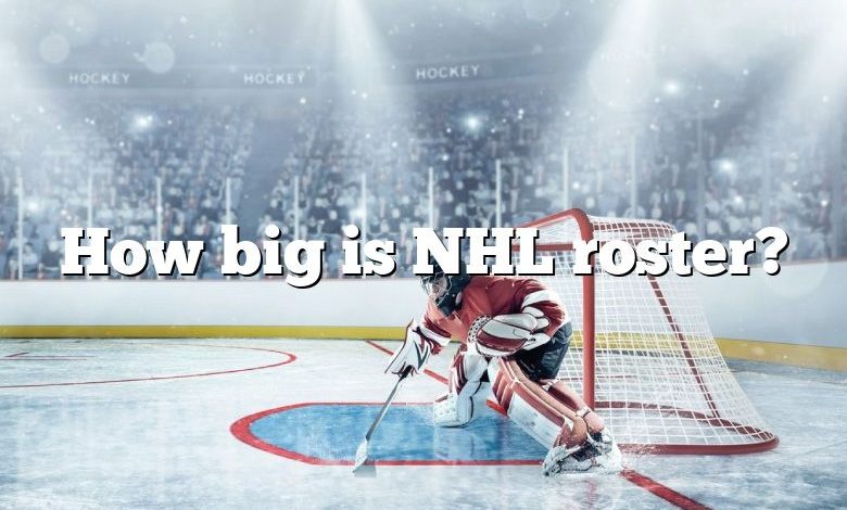 How big is NHL roster?