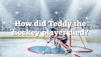 How did Teddy the hockey player died?