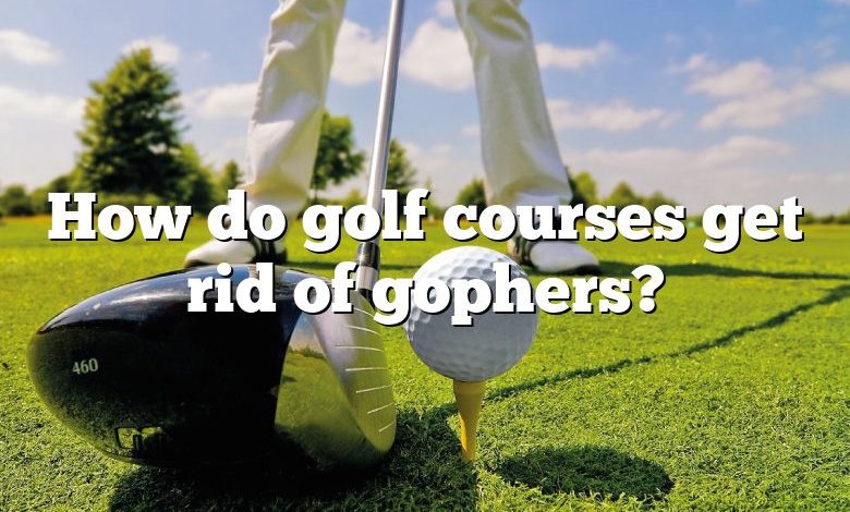 How do golf courses get rid of gophers?