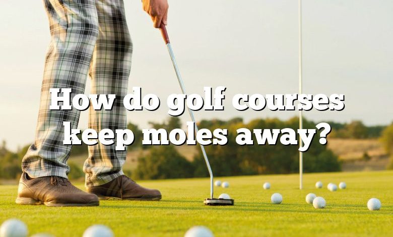 How do golf courses keep moles away?