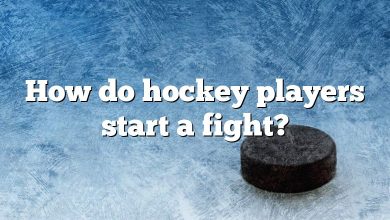 How do hockey players start a fight?