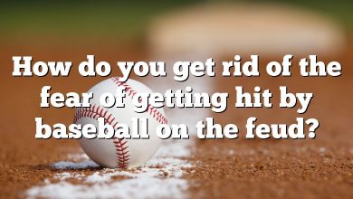 How do you get rid of the fear of getting hit by baseball on the feud?