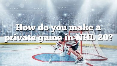 How do you make a private game in NHL 20?