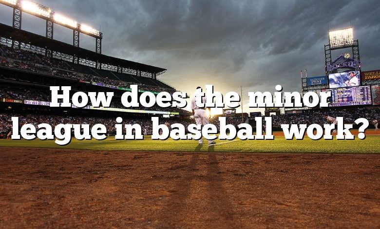 How does the minor league in baseball work?