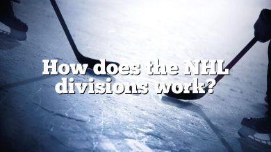 How does the NHL divisions work?