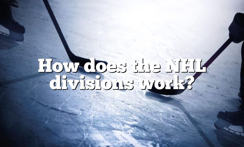 How does the NHL divisions work?