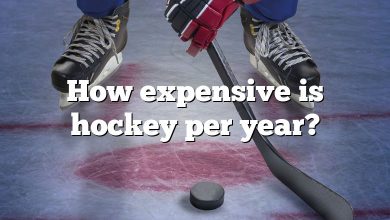 How expensive is hockey per year?
