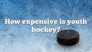 How expensive is youth hockey?