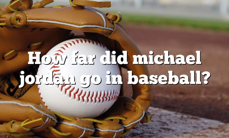 How far did michael jordan go in baseball?