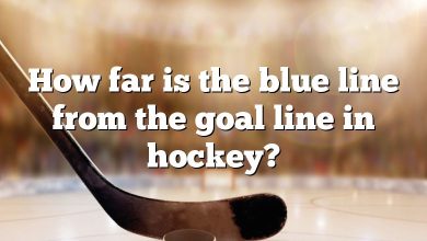 How far is the blue line from the goal line in hockey?