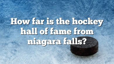 How far is the hockey hall of fame from niagara falls?