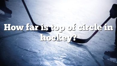 How far is top of circle in hockey?