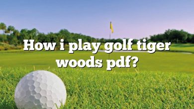 How i play golf tiger woods pdf?