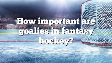 How important are goalies in fantasy hockey?