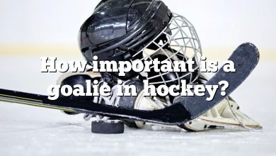 How important is a goalie in hockey?