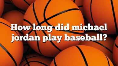 How long did michael jordan play baseball?