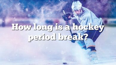 How long is a hockey period break?