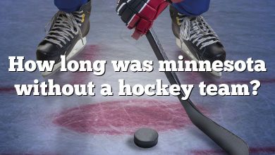 How long was minnesota without a hockey team?