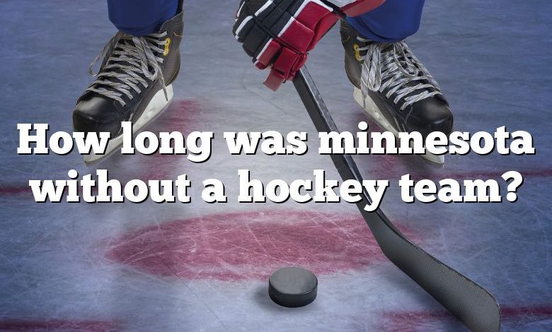 How long was minnesota without a hockey team?