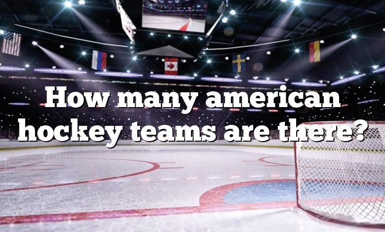 How many american hockey teams are there?