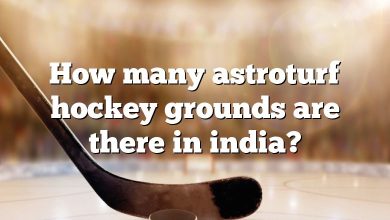 How many astroturf hockey grounds are there in india?