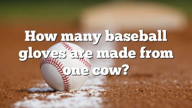 How many baseball gloves are made from one cow?