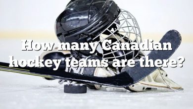 How many Canadian hockey teams are there?