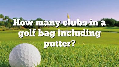 How many clubs in a golf bag including putter?