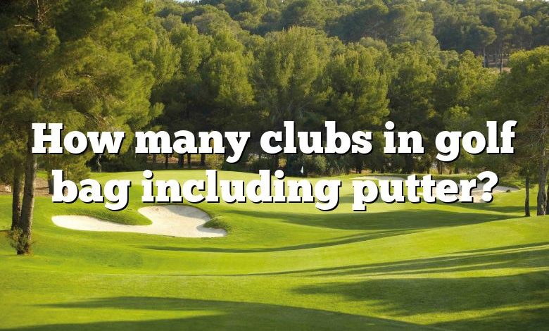 How many clubs in golf bag including putter?