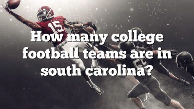 How many college football teams are in south carolina?
