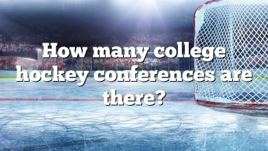 How many college hockey conferences are there?
