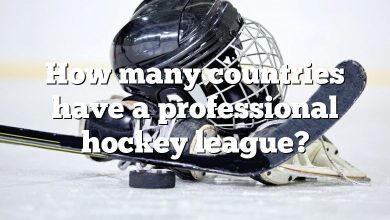 How many countries have a professional hockey league?
