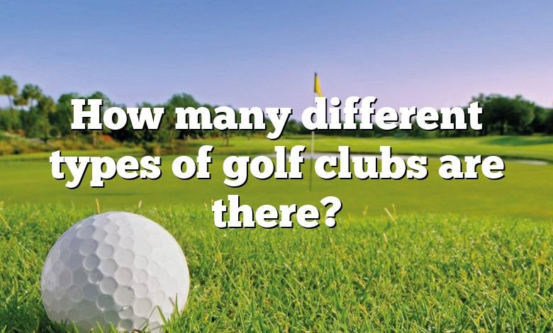 How many different types of golf clubs are there?