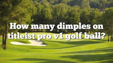 How many dimples on titleist pro v1 golf ball?